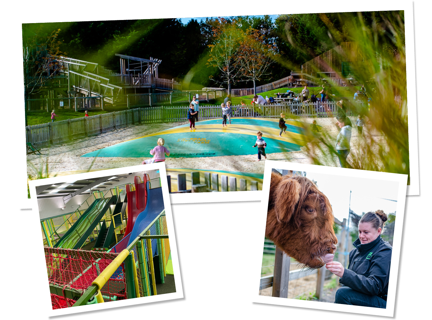 Children's' Indoor and Outdoor Play | Chobham Adventure Farm