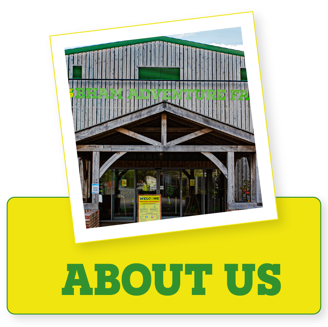 Chobham Adventure Farm / Children's Indoor & Outdoor Play in Surrey