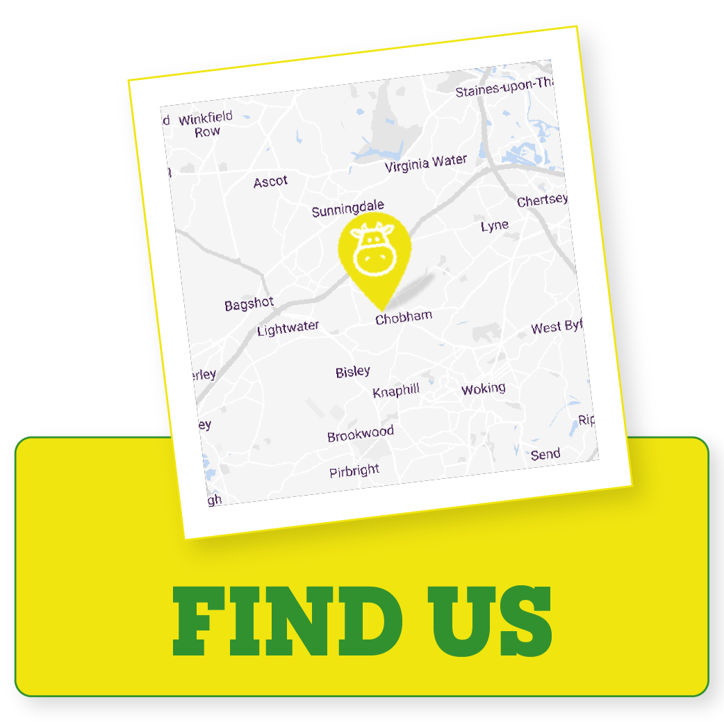 Chobham Adventure Farm / Children's Indoor & Outdoor Play in Surrey