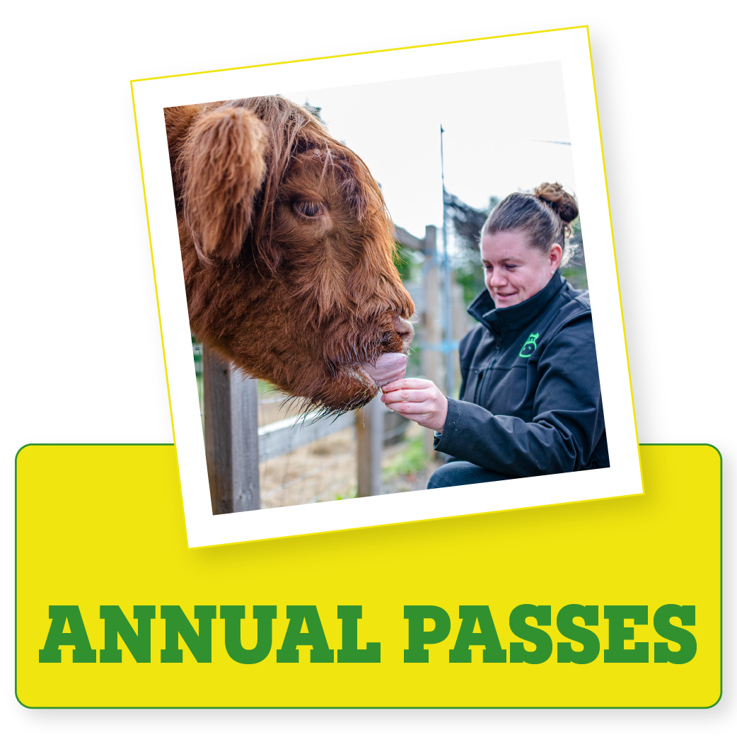 Chobham Adventure Farm / Children's Indoor & Outdoor Play in Surrey