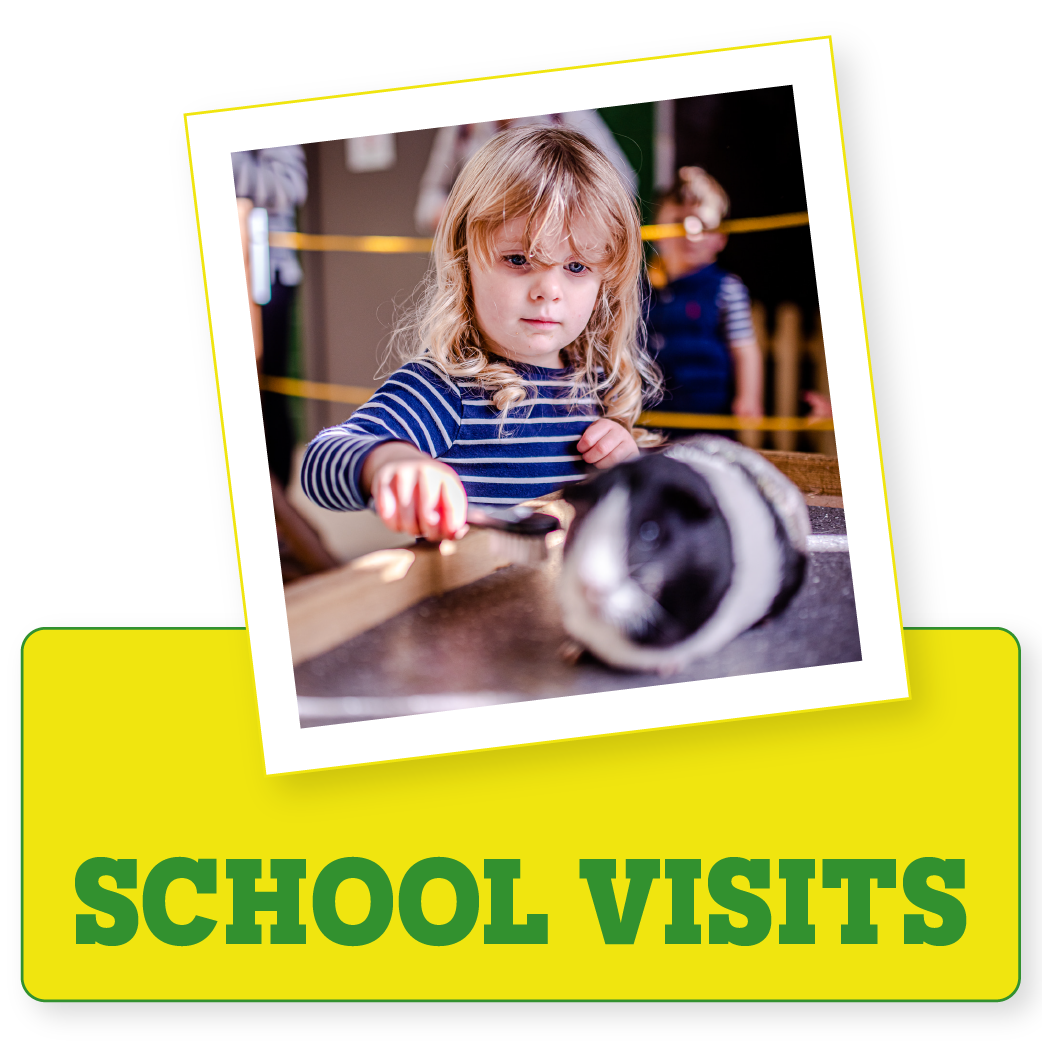 Chobham Adventure Farm / Children's Indoor & Outdoor Play in Surrey