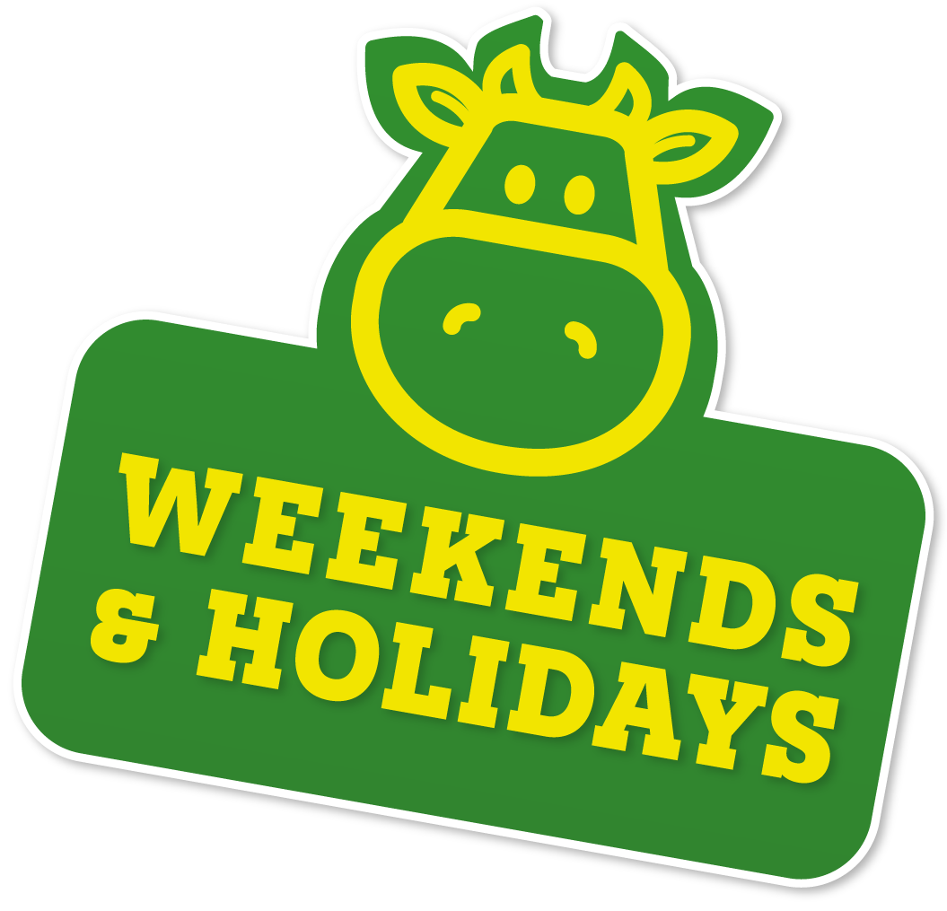 Children's' Indoor and Outdoor Play | Chobham Adventure Farm