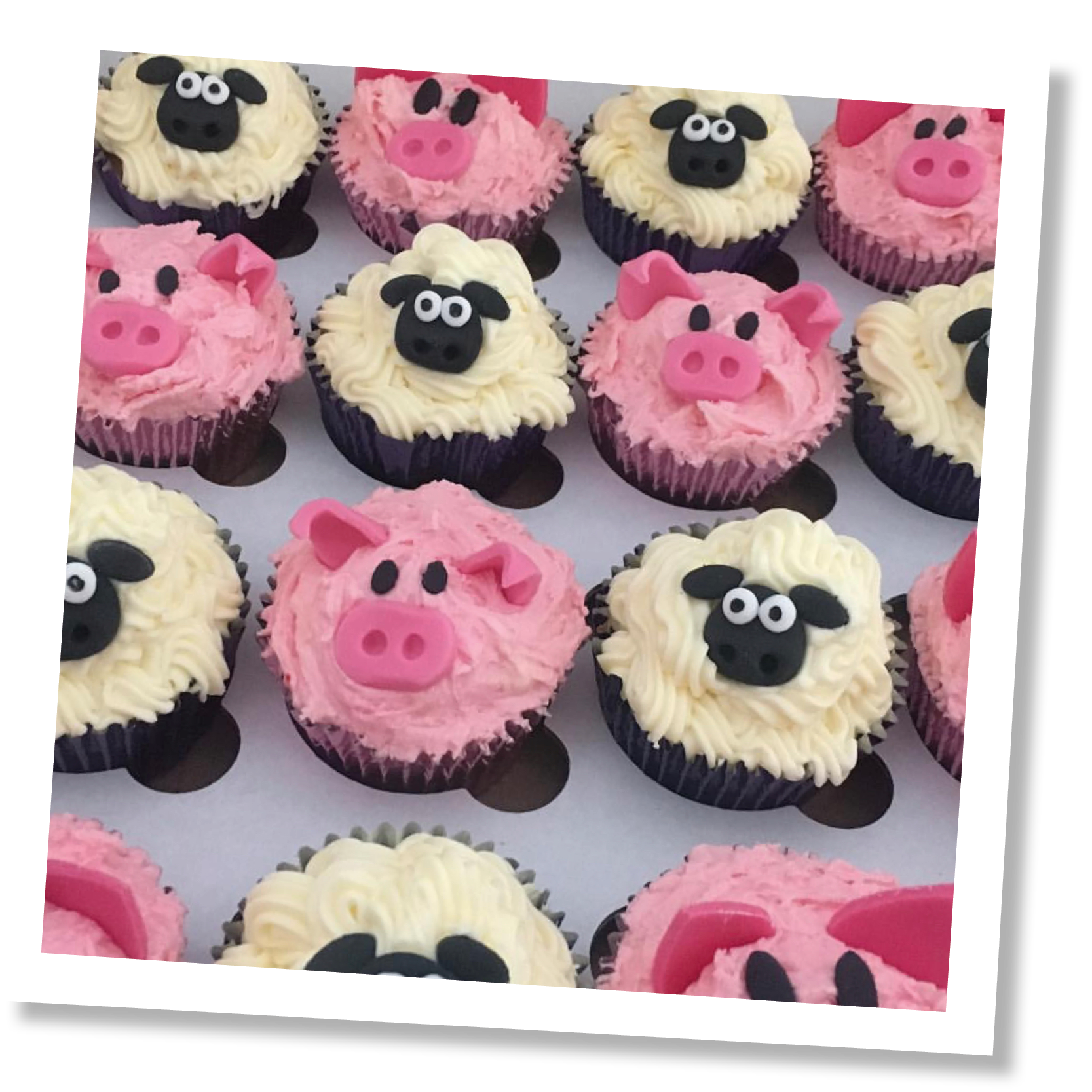 Children's' Indoor and Outdoor Play | Chobham Adventure Farm