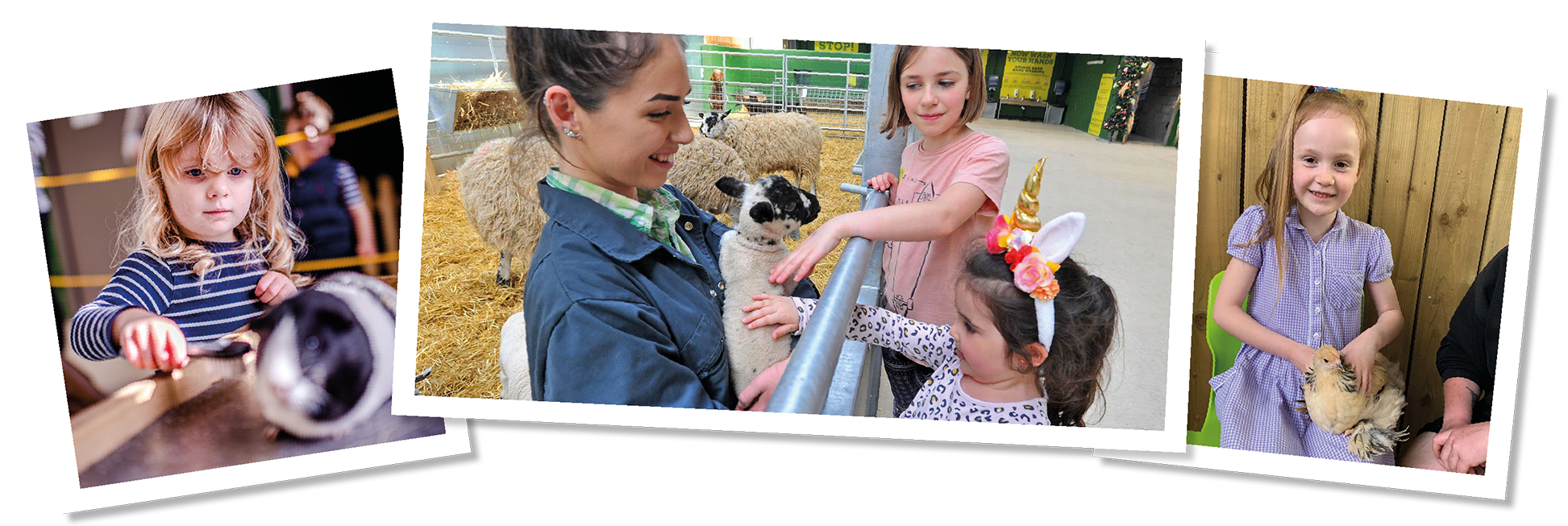 Children's' Indoor and Outdoor Play | Chobham Adventure Farm