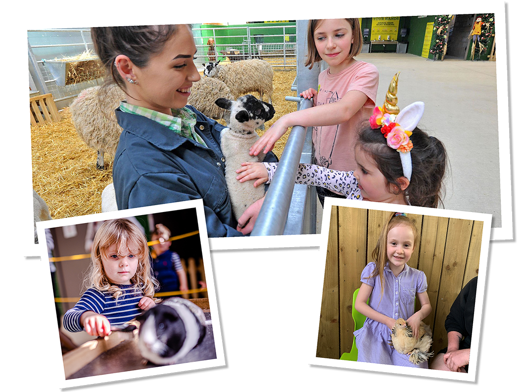 Children's' Indoor and Outdoor Play | Chobham Adventure Farm