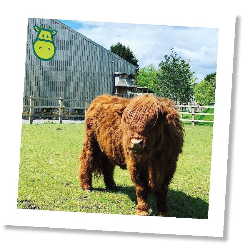 Children's' Indoor and Outdoor Play | Chobham Adventure Farm