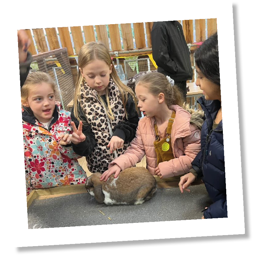 Children's' Indoor and Outdoor Play | Chobham Adventure Farm