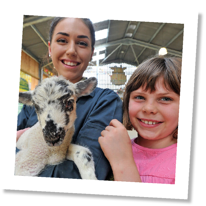 Children's' Indoor and Outdoor Play | Chobham Adventure Farm